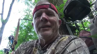 3 Tradbow Hog Hunts in Georgia