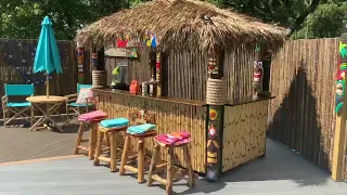 The "Tropical Paradise Tiki Bar"