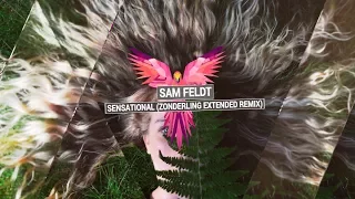 SAM FELDT - Sensational (Zonderling Extended Remix)