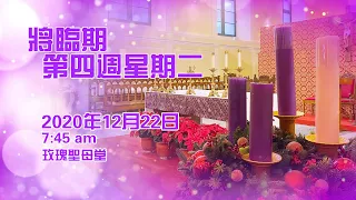 將臨期第四週星期二(22/12/2020)