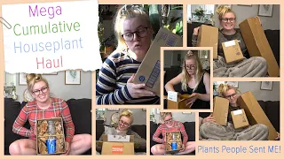 Mega Cumulative Houseplant Haul! Plants People Sent Me!