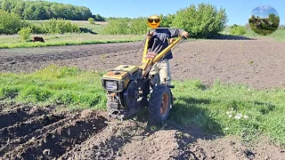 Огрібаня картошки мотоблок кентавр 7к.с