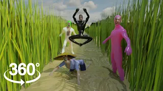 Lost in the Rice Fields in 360/VR