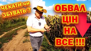 🤷‍♂️ ВАРІАНТИ, ЩОБ НЕ ЗІРВАТИ ПОСІВНУ🌾❓️КОЛИ БУДЕ ЦІНА⁉️