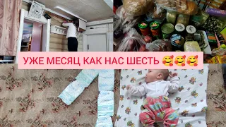 САШЕНЬКЕ МЕСЯЦ🥰КРОЛИКИ-ПОДАРКИ👍ПРЕДНОВОГОДНЯЯ УБОРКА🙂 ЗАКУПКА ПРОДУКТОВ💫 ПЫШНЫЕ ОЛАДЬИ😋В ДЕРЕВЕНЬКЕ