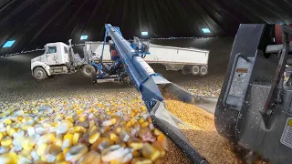 Jeff and Cole Haul out Corn