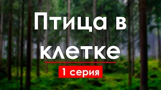 podcast: Птица в клетке | 1 серия - сериальный онлайн киноподкаст подряд, обзор