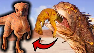 Homalocephale DEATH Animation vs All Carnivore Dinosaurs | Jurassic World Evolution 2