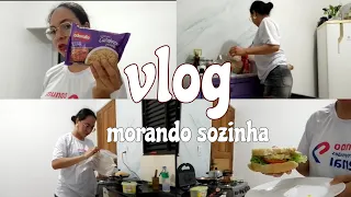 VLOG| Dia de ir no mercado, e noite do hamburguer Morando Sozinha