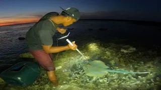 Menombak ikan malam hari angin kencang Banyak hewan Laut berbahaya berkeliaran