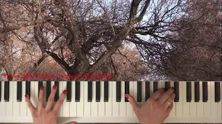 SECRET GARDEN Song Рольф Ловланд На Пианино Песня таинственного сада Фортепиано Красивая мелодия