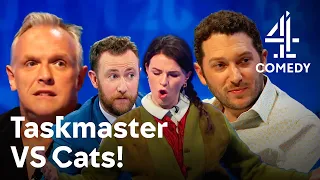 The BEST of the Taskmaster Team on Cats Does Countdown | 8 Out Of 10 Cats Does Countdown | Channel 4