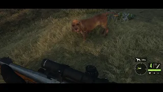 Hunting With The Dog, Hunter Call Of The Wild PC