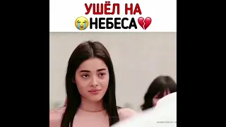 Трогательное видео 😔