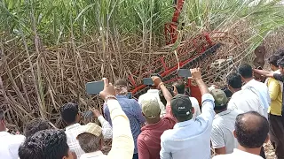 hanje sugarcane harvestor