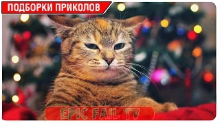 Подборка приколов за Март 2016 (+18) #58 A selection of jokes for March 2016