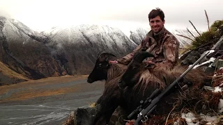 Hunting DIY TAHR DOUBLE HEADER | S1E10 | Limitless Outdoors