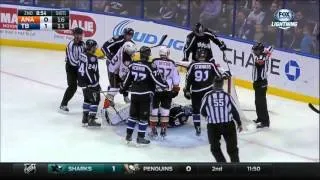 Ducks @ Lightning Highlights 11/21/15