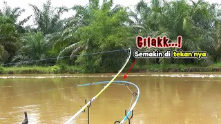 Gila bener!!! Mancing di Sungai saat banjir besar malah diserang rombongan ikan ganas