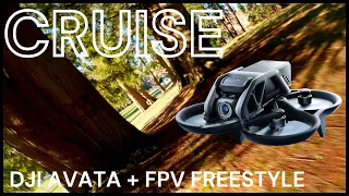 Cruise- Cinematic FPV Ft. DJI Avata & FPV Freestyle! 🔥🙂