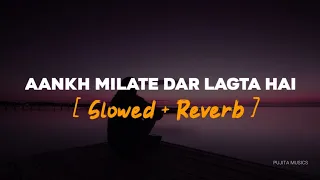 Aankh Milate Darr Lagta Hai | Slowed & Reverb | Udit Narayan | Pujita Musics