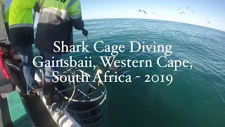 Great White Shark Cage Diving, Gansbaii, South Africa - 2019