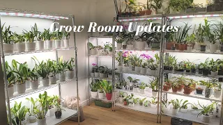 Updates to the Plant & Orchid Room | Setting Up a New Shelves, LED Lights  & Timers