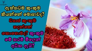 කුංකුම හෙවත් Saffron ගැන වැදගත් විස්තරයක්