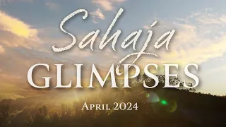 Scorci di Sahaja - Aprile 2024
