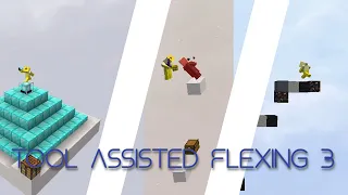 Tool Assisted Flexing 3 - Minecraft