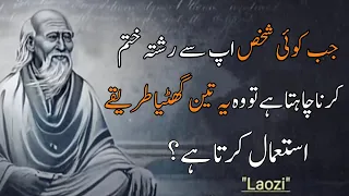 03 Despicable ways Ä cheater use to break up with you | maulana Rumi quotes