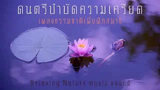 ดนตรีบำบัดความเครียด ผสานเสียงธรรมชาติ ช่วยให้จิตใจสงบ เยียวยาจิตวิญญาณ