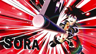 Smash Ultimate Sora Stamina Boss Defeated Reference