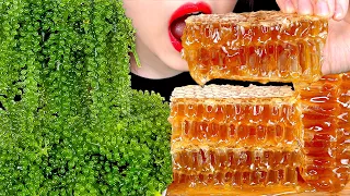 ASMR RAW HONEYCOMB SEA GRAPES 벌집꿀 바다포도 먹방 MUKBANG EATING SOUNDS 咀嚼音ハニカム | ZOEY ASMR