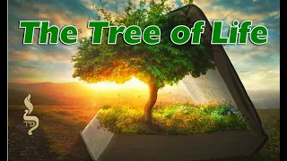 The Tree of Life | Bereishis