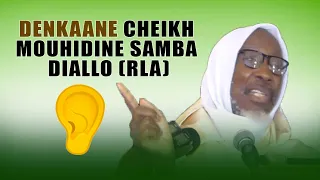 🔴Denkaané Cheikh Mouhidine Samba Diallo you am solo