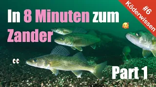 #Köderwissen 6  ► In 8 Minuten zum Zander (Part 1) ★★★★★