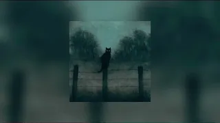 Dark/strange sped up/slowed edit audios 🍂pt18 (+timestamps!)