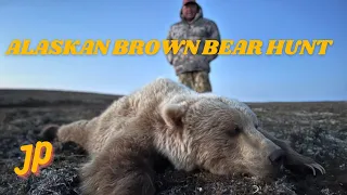 GRIZZLY HUNTER | a REAL ALASKAN BROWN BEAR HUNT |  #hunting #hunter #grizzlyhunt