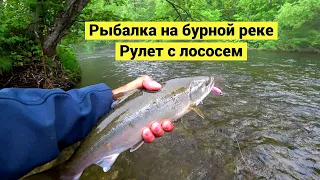 Fishing on a Stormy River. Roll with Salmon