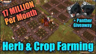 Money Making Farming Guide | Panther Giveaway | Albion Online