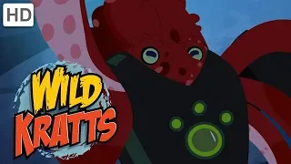Wild Kratts 🌊 Water Animals Creature Powers! 🦈 | Kids Videos