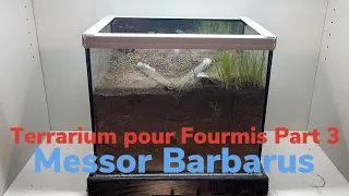 Fabrication d'un Terrarium pour mes Fourmis ( Messor Barbarus ) Partie 3