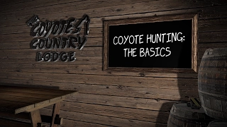 How to hunt coyotes, the basics.