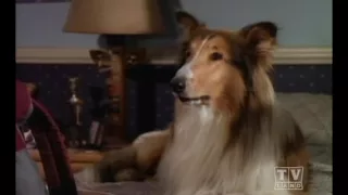 The New Lassie (Season 1 Eps7)