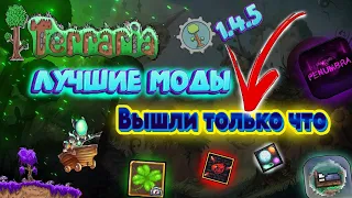 Terraria лучшие моды которые вышли только что !!!