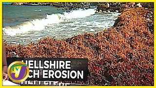 Hellshire Beach Erosion | TVJ News