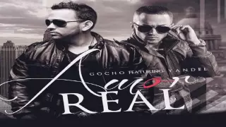 Gocho feat. Yandel - Amor Real