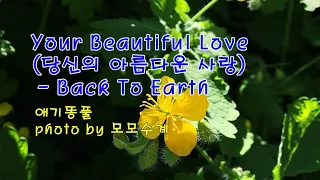 애기똥풀 & Your Beautiful Love (당신의 아름다운 사랑) / Back To Earth & photo by 모모수계