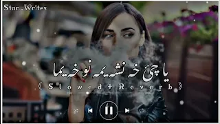 Ya Che Kha Nasha Yama No Kha Yama Tiktok Viral Song Staso Har K Khalaq Pa Rangono Mra《Slowed+Reverb》